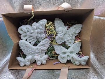 Butterfly Soap Box