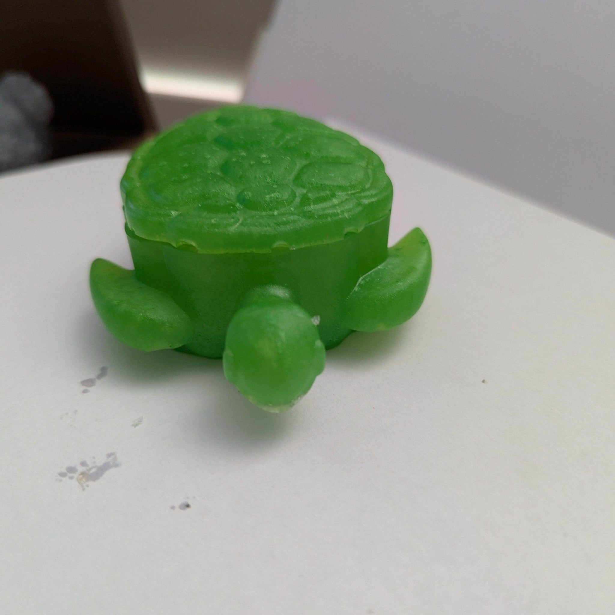 Turtle box - Bennett Creations and Crafts 